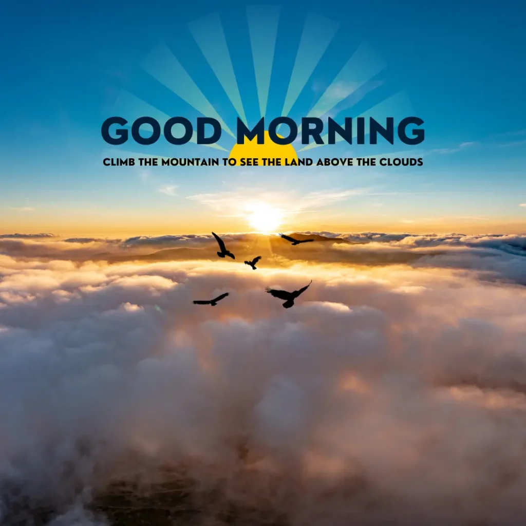 Beautiful Images For Good Morning